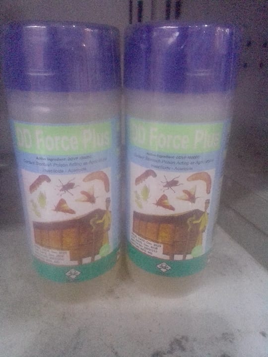 DD Force Plus
