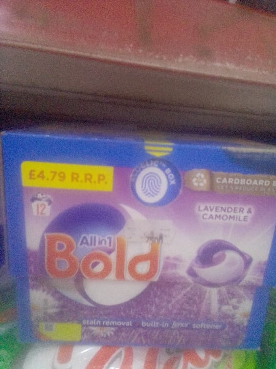 All in 1 Bold