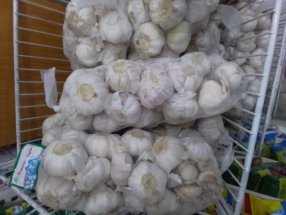 garlic