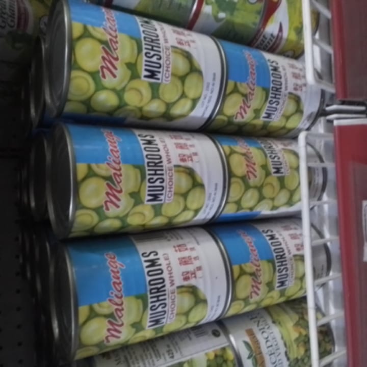 Alliance Mushroom 400g