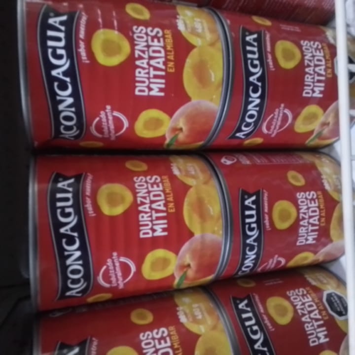 Aconcaagua mix fruits 480ml