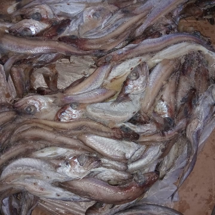 Mullet fish 1kg