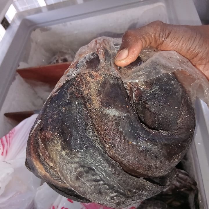 Cat Fish 1kg