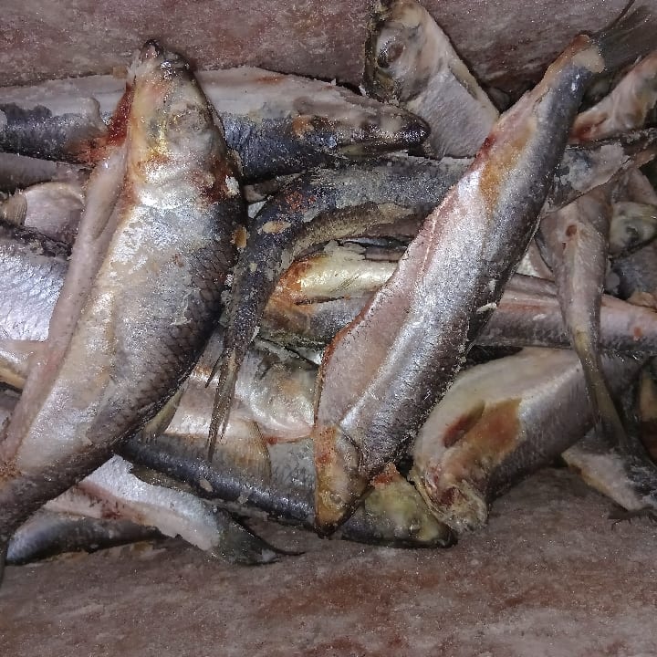 Shawa Fish 1kg